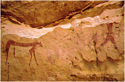 Rock Art of the Cave of Swimmers