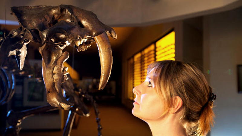 Ice Age Giants with Alice Roberts