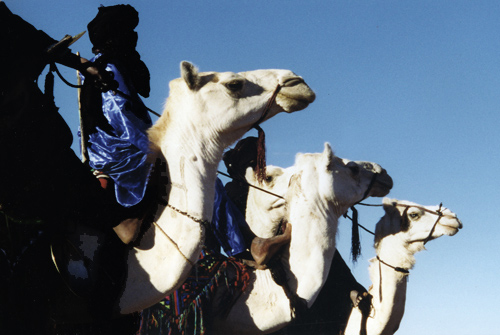 Tuareg Sahara
