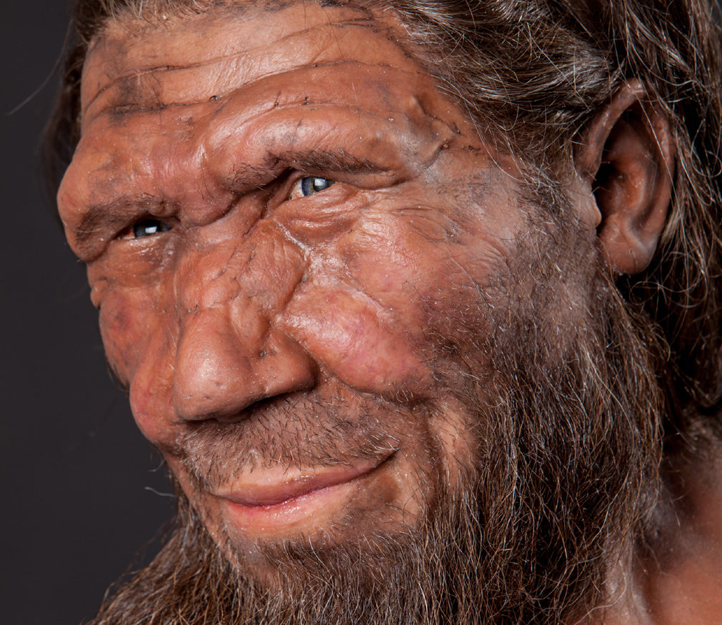 excavations reveal diet neanderthals