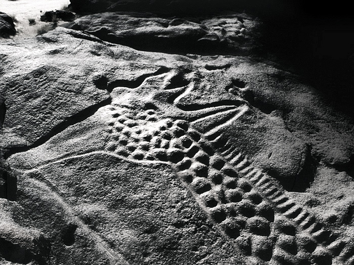 Giraffe Dabous Rock Art Carving Sahara Africa