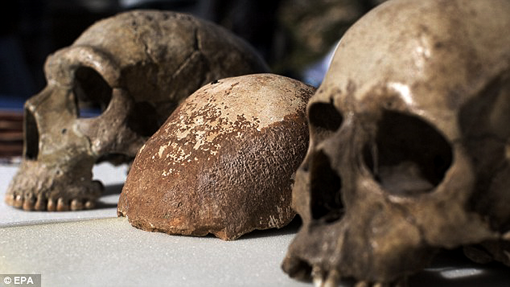 manot cave in israel. modern human and neanderthals