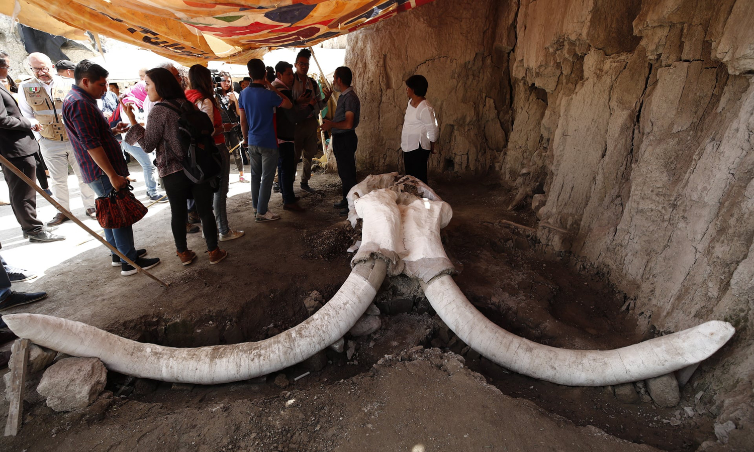 Mexican mammoth trap provides first evidence of prehistoric hunting pits archaeologists Mammoths extinct archaeology National Institute of Anthropology and History