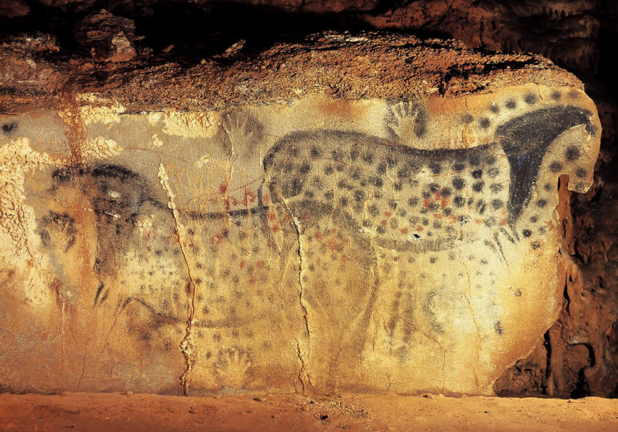 Horses Had Paintings Cave Art Pech Merle