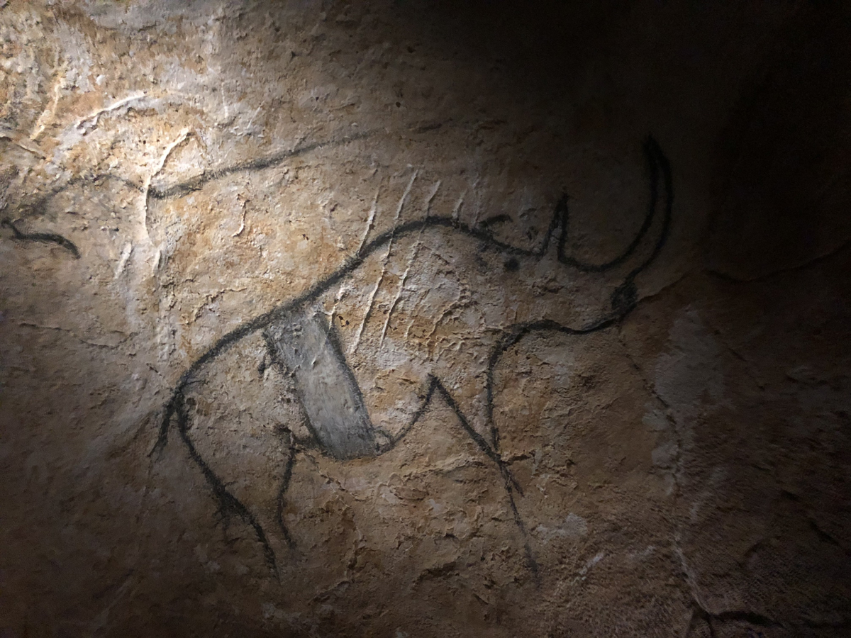 rhinos striped artists depictions art symbolic Chauvet