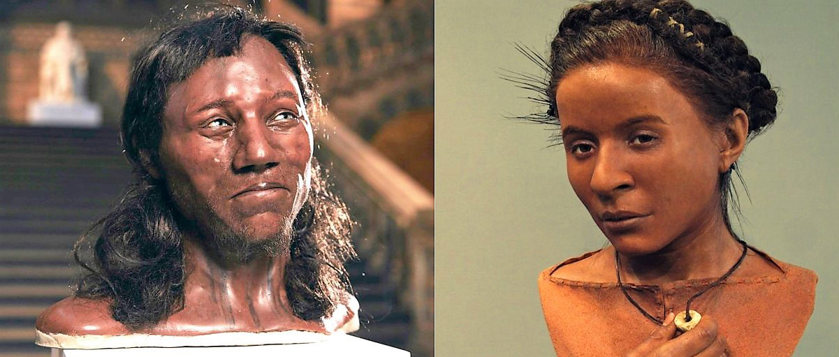 A reconstruction of Cheddar Man and a facial reconstruction of Whitehawk Woman