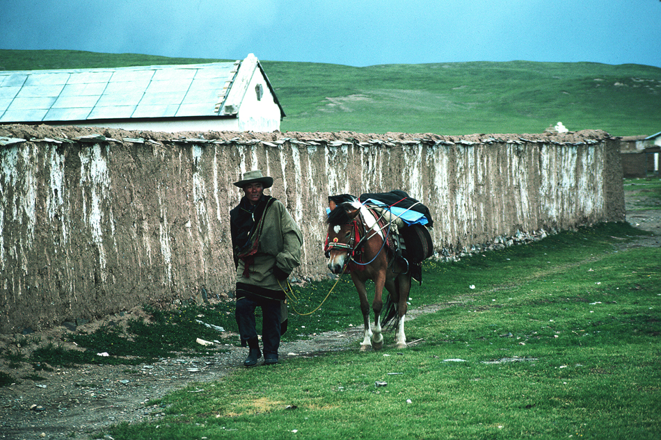 The rock art of Tibet