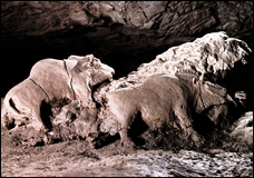 Bison Of Tuc D'Audoubert