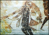 kimberley rock art australia