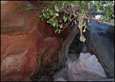 kimberley rock art australia