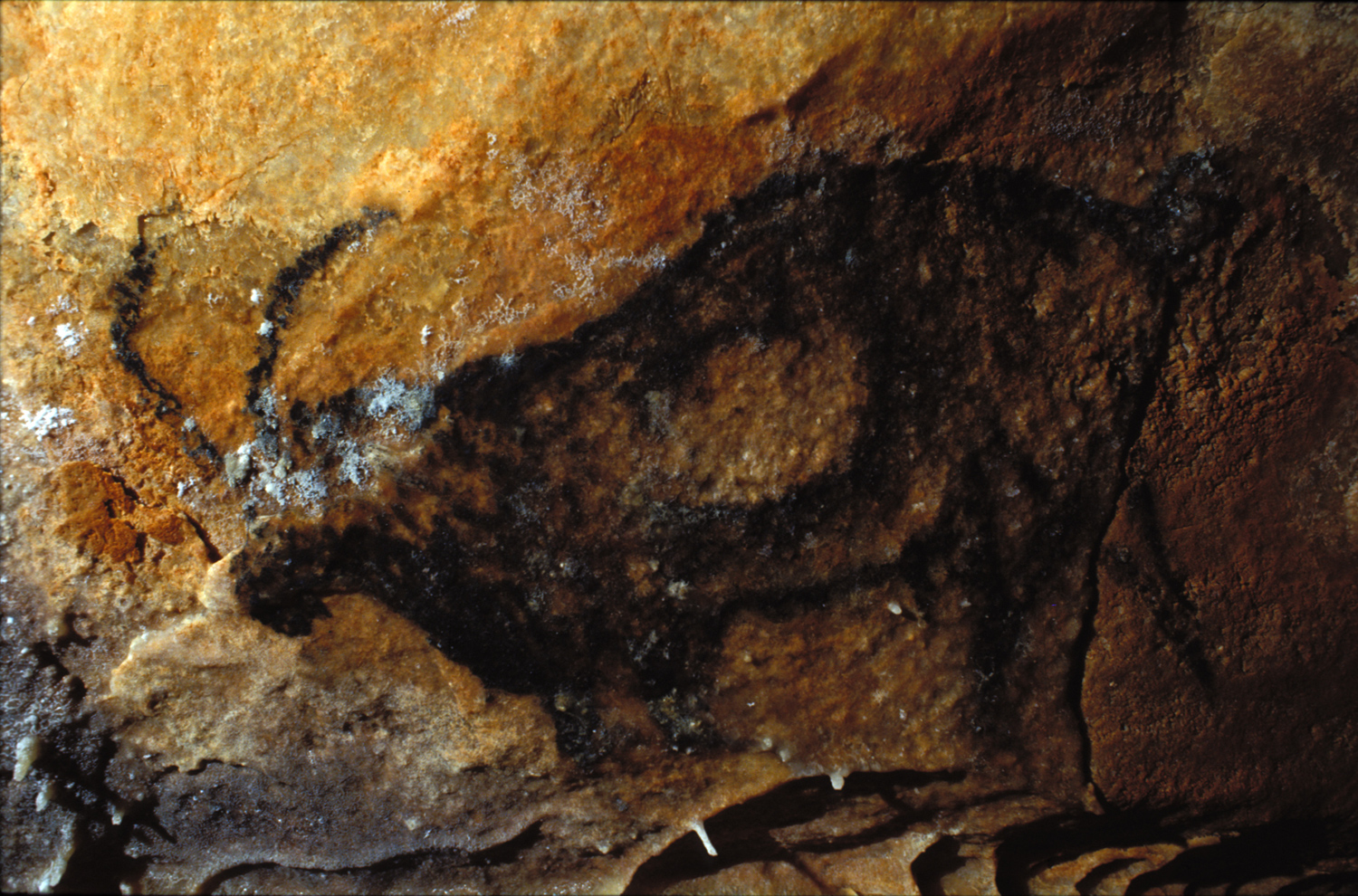 The Cave Paintings of the Cosquer Cave in France