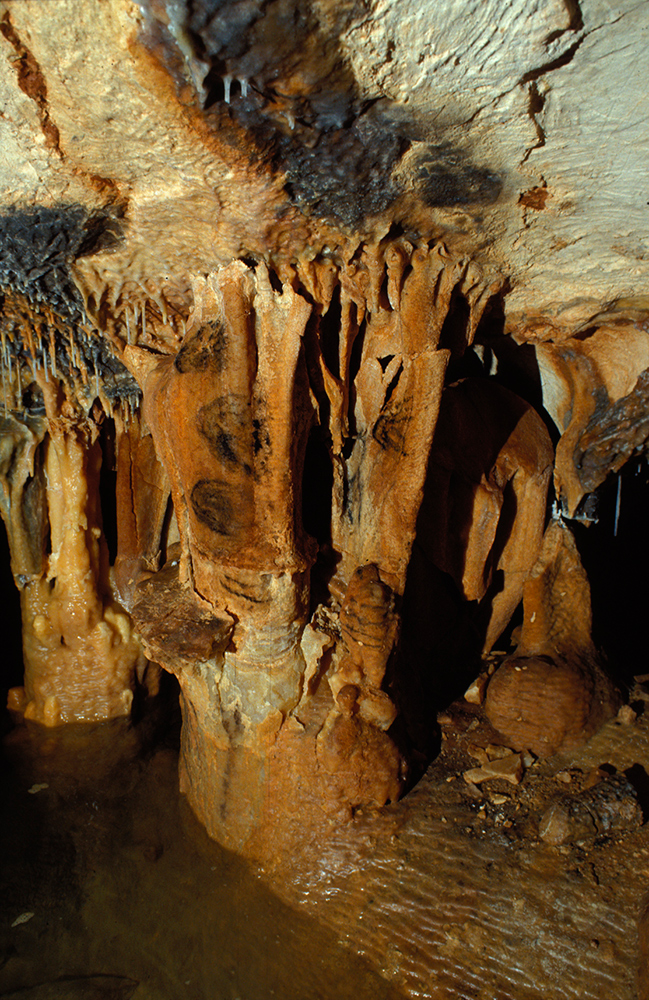 The Cave Paintings of the Cosquer Cave in France