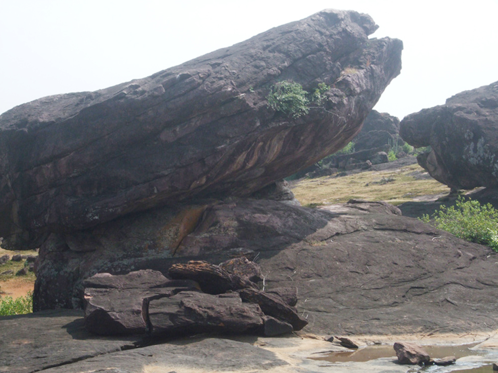 rock art India