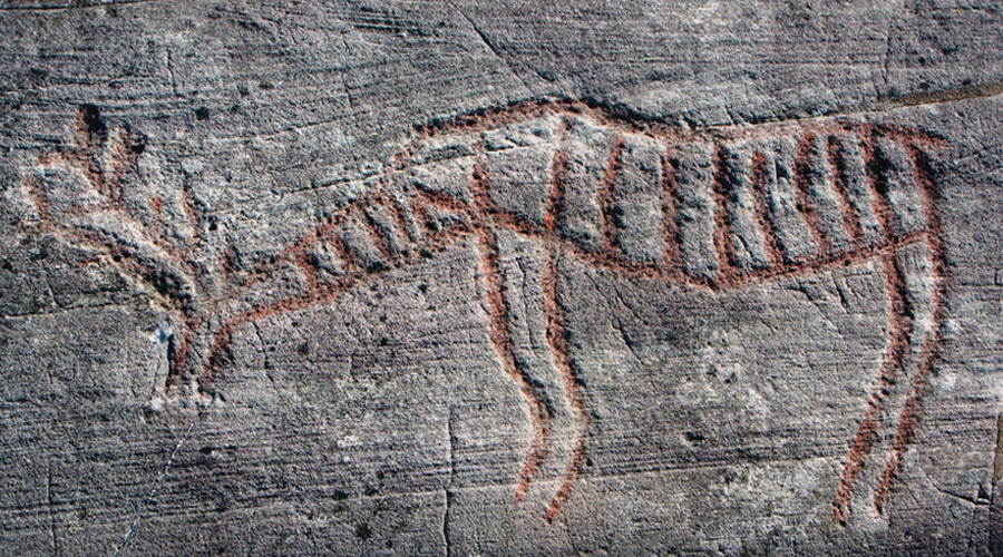 Valuing Cultural Heritage Vigen Rock Art Petroglyphs at Risk in Norway