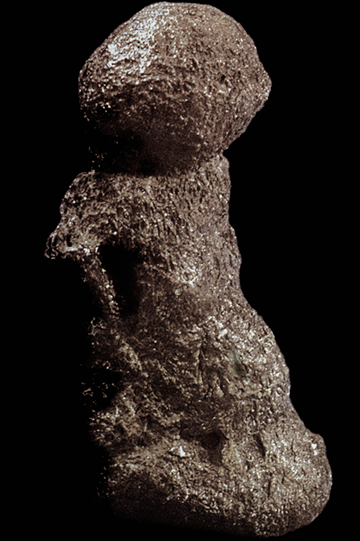 Predmost Figurine made from a Mammoth Middle Foot Bone Sculptures of the Ice Age