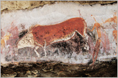 South Africa Rock Art Paintings