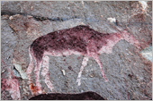 South Africa Rock Art Paintings