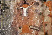 South Africa Rock Art Paintings