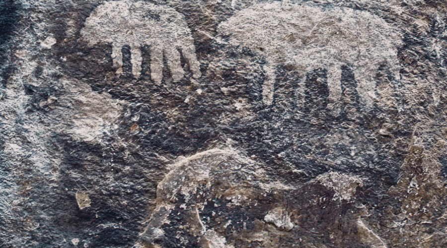 The Rock Art of Tanzania F.T. Masao