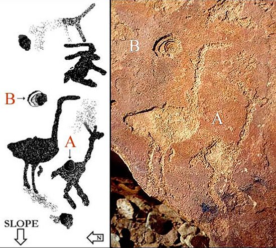 Engravings Rock Art Petroglyphs Petroglyphs Twyfelfontein Namibia Africa