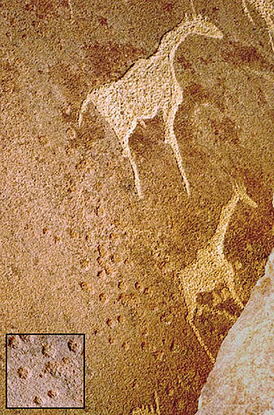 Cupule Cupules Twyfelfontein World Heritage Africa Namibia