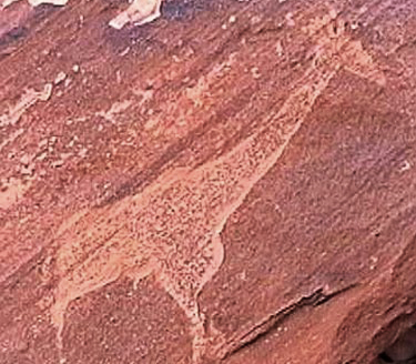 Engravings Rock Art Petroglyphs Petroglyph Twyfelfontein Namibia Africa