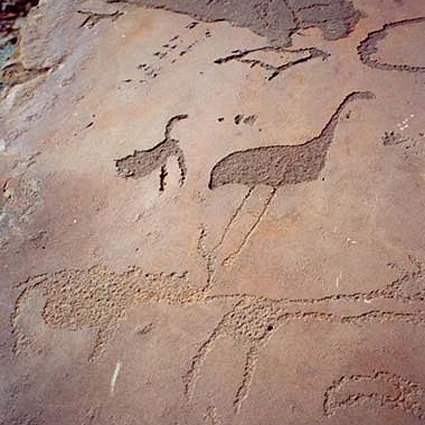 Engravings Rock Art Petroglyphs Petroglyps Twyfelfontein Namibia Africa