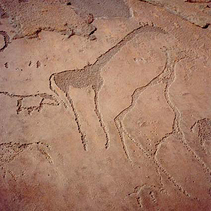 Engravings Rock Art Petroglyphs Petroglyps Twyfelfontein Namibia Africa