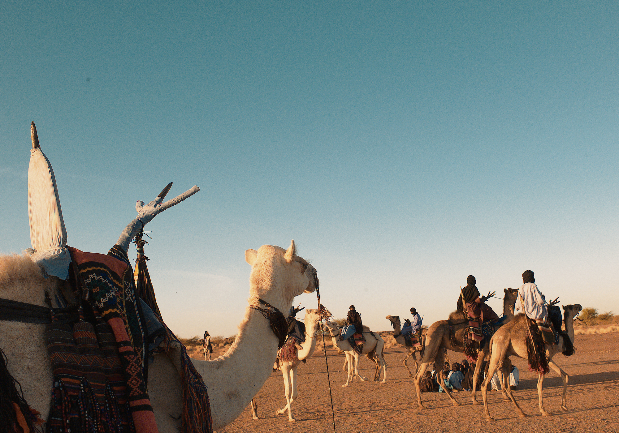 Tuareg gathering Niger Africa