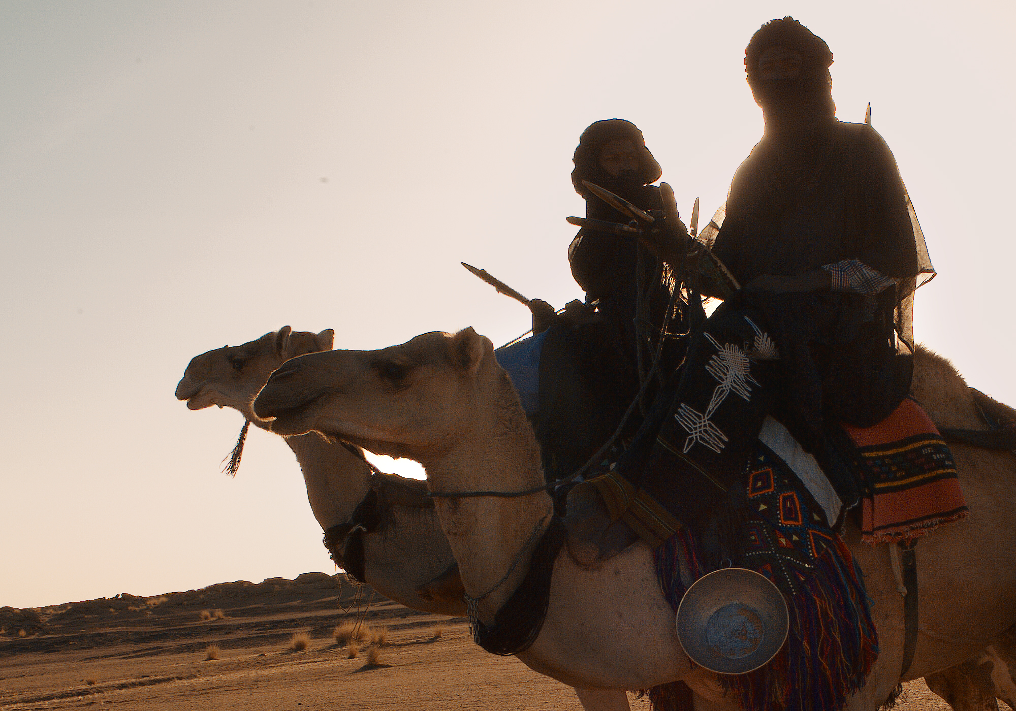 Tuareg riders Niger Africa