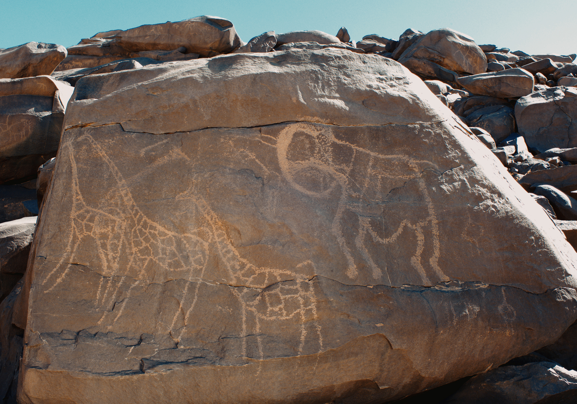 Rock art carvings Anakom Eastern Aïr Niger Africa