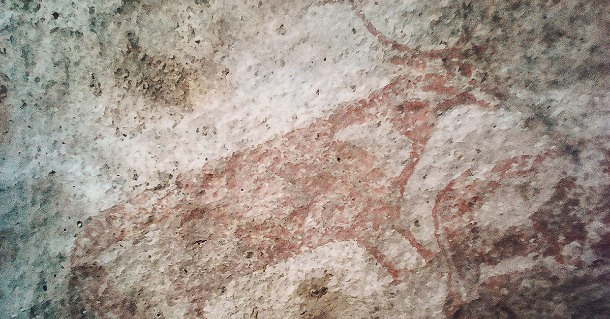 Bradshaw Foundation Facebook