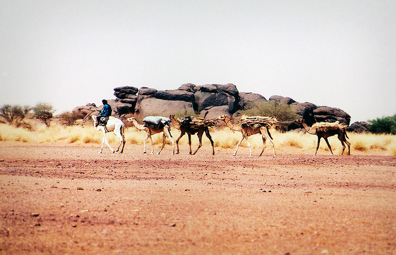Bradshaw Foundation Rock Art Africa African Sahara Gallery Tuareg Trade Route Great Desert Photos Photographs Archaeology