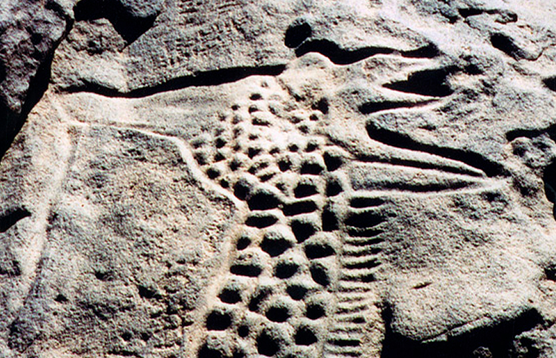 Bradshaw Foundation Rock Art Africa African Sahara Gallery Dabous Giraffe Detail Great Desert Photos Photographs Archaeology