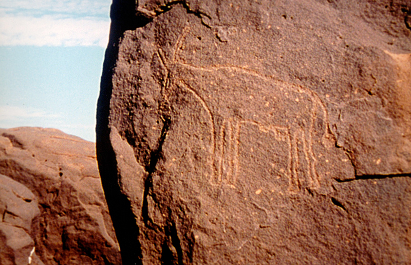 Bradshaw Foundation Rock Art Africa African Sahara Gallery Libya Petroglyphs Petroglyph Great Desert Photos Photographs Archaeology