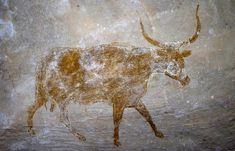 Bradshaw Foundation Cattle Rock Art Africa African Sahara Gallery Great Desert Photos Photographs Archaeology