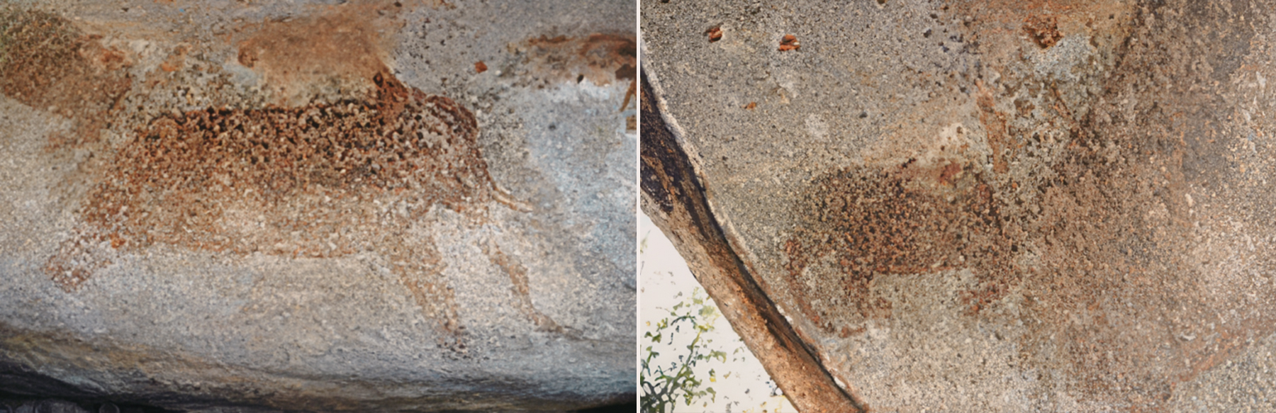 Kikonko kya Nzogu Rock Art of Singida & Lake Eyasi Basin Tanzania Africa