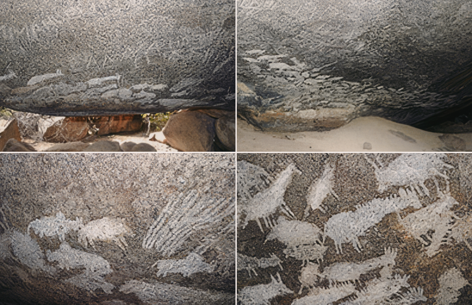 Mguguno Rock Art of Singida & Lake Eyasi Basin Tanzania Africa