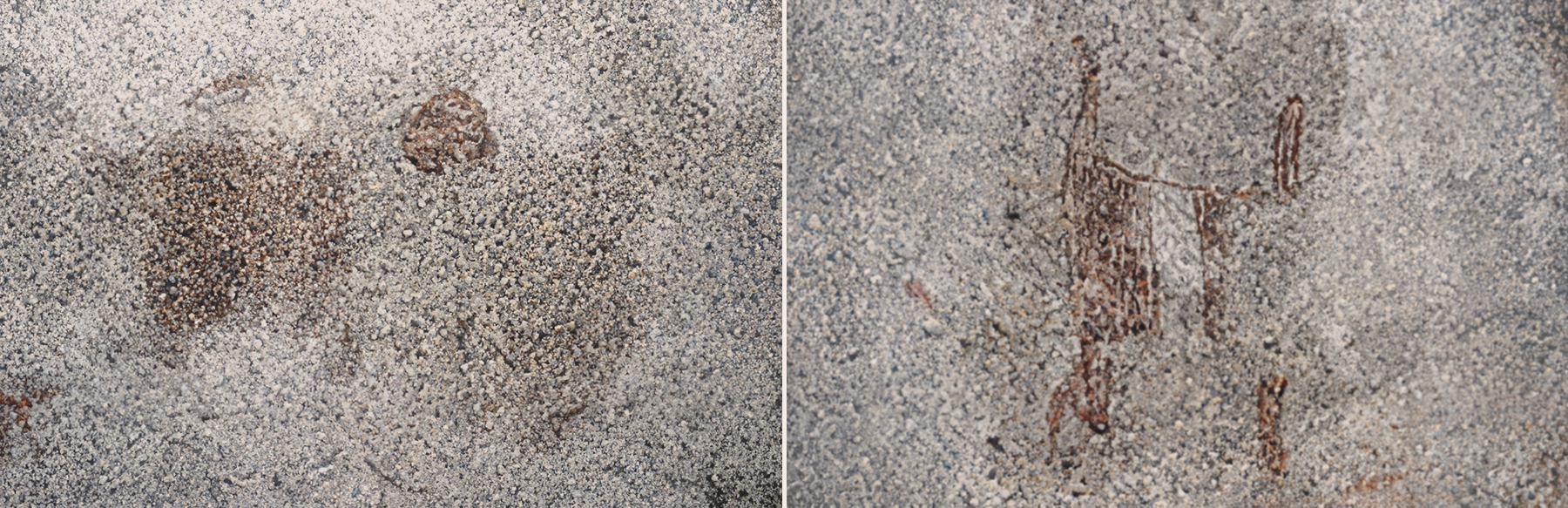 Ntwiga 3 Rock Art of Singida & Lake Eyasi Basin Tanzania Africa