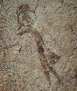 Rock Art Paintings Archaeology Africa Tanzania Ngwaginki (Kitaturu)