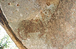 Rock Art Paintings Archaeology Africa Kikonko kya Nzogu