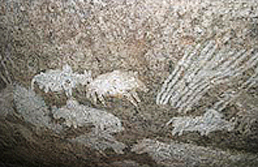 Rock Art Paintings Archaeology Africa Tanzania Mguguno