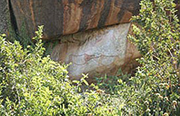 Rock Art Paintings Archaeology Africa Tanzania Mtintimo