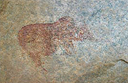 Rock Art Paintings Archaeology Africa Tanzania Mtintimo