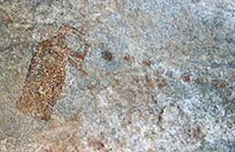 Rock Art Paintings Archaeology Africa Tanzania Ng’ongo ya Ngimu