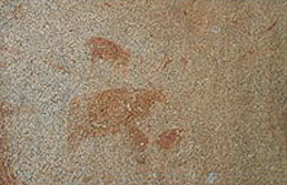 Rock Art Paintings Archaeology Africa Tanzania Ntwiga