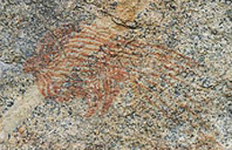 Rock Art Paintings Archaeology Africa Tanzania Taru