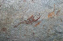 Rock Art Paintings Archaeology Africa Tanzania Ikurungu la Nyakidarama