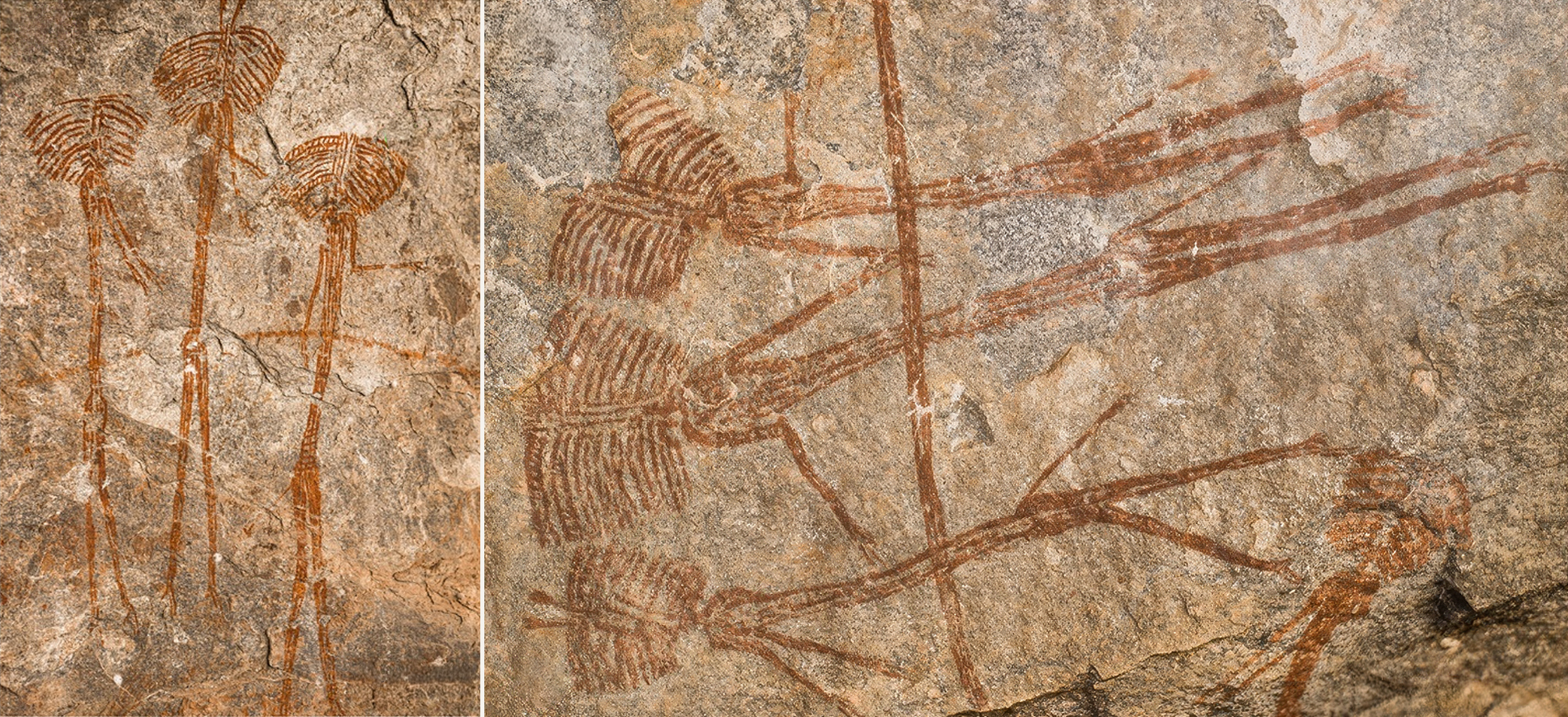 Kolo B2 (left) paintings are presented in a vertical position and Kolo B1 (right) the figures are depicted horizontally