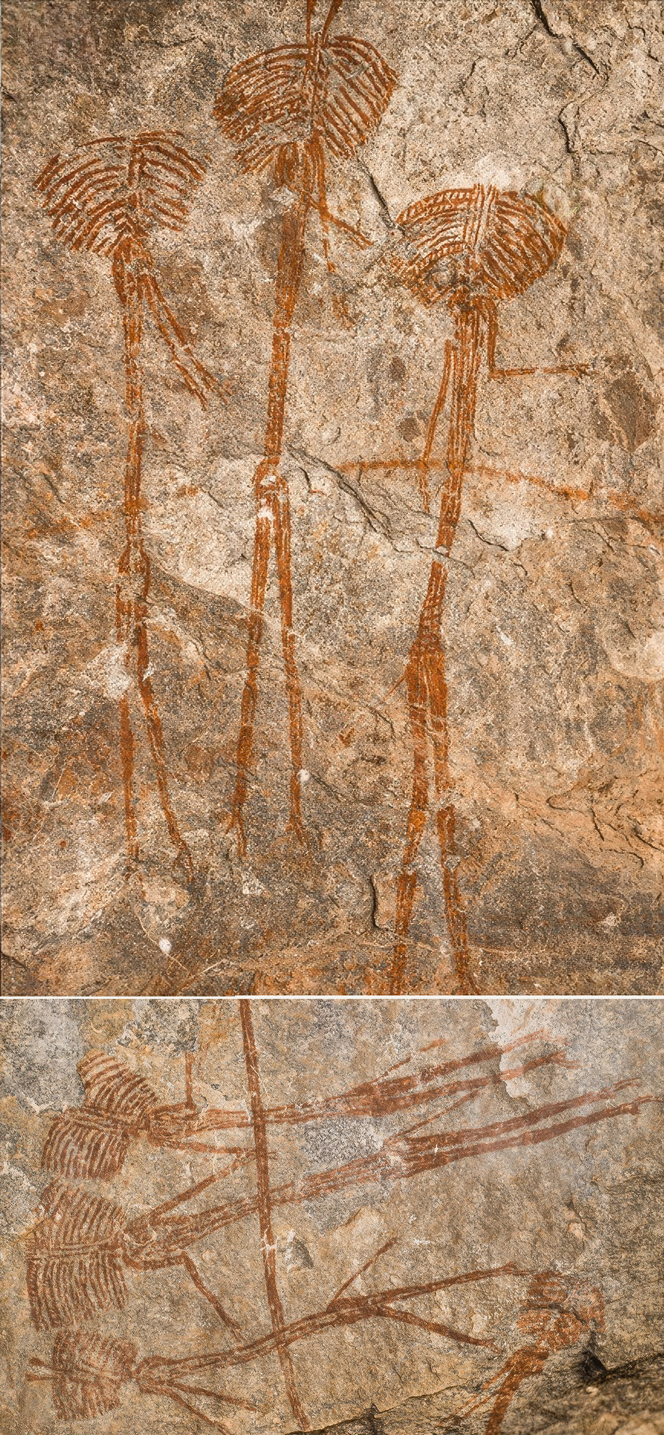 Kolo B2 (top) paintings are presented in a vertical position and Kolo B1 (bottom) the figures are depicted horizontally